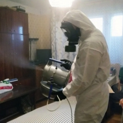 Дезинфекция от клопов в Сухиничах