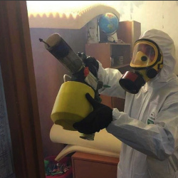 Уничтожение клопов в квартире. Сухиничи